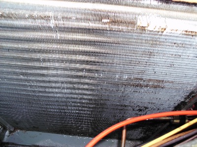Cleaned Evaporator Coil