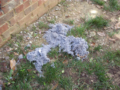 Just some of the lint that we removed from this clogged dryer vent.